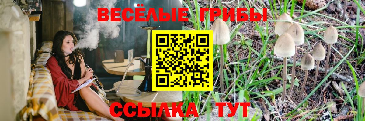 Псилоцибиновые грибы мухоморы Ярославль