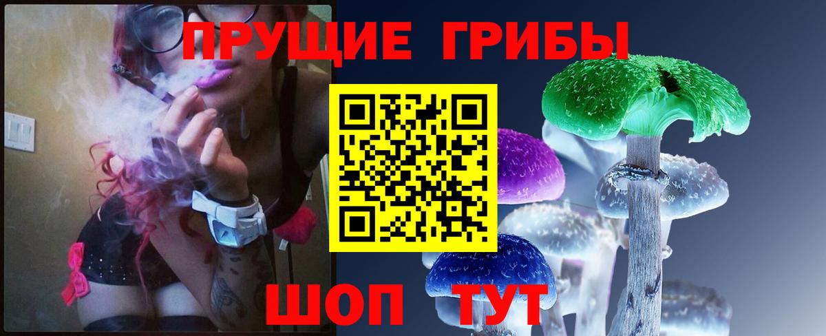Ярославль  Галлюциногенные грибы ЛСД  Вход с VPN 